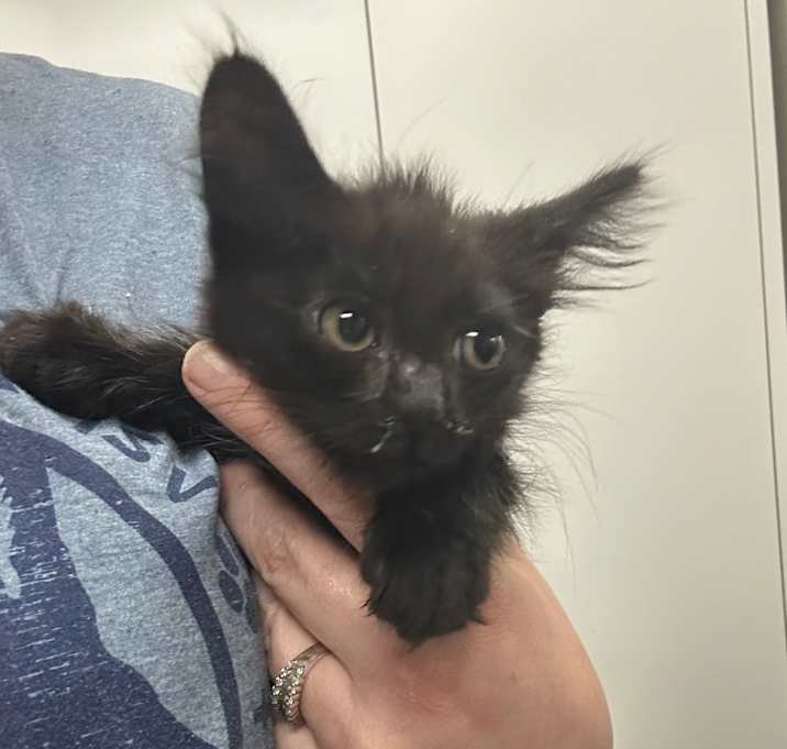 Photo of Mudpie
