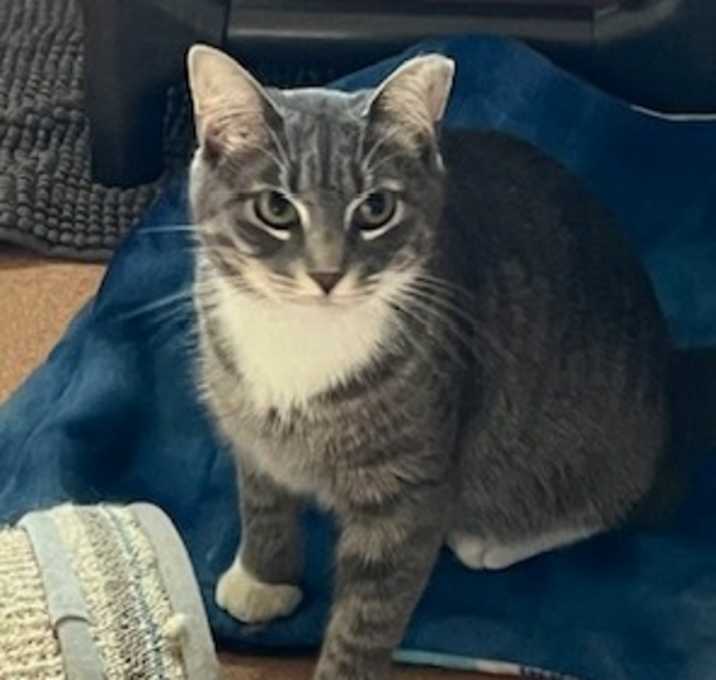 Photo of Disco
