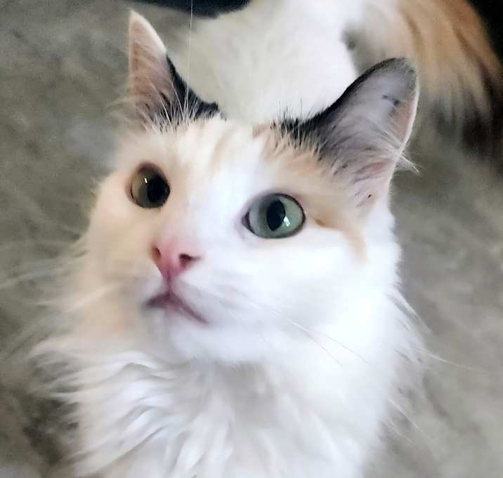 Photo of Maya