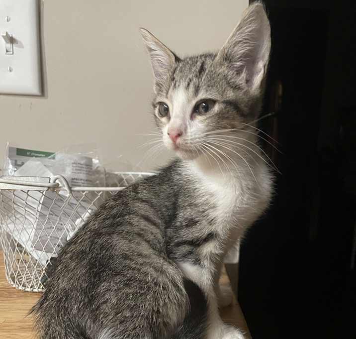 Photo of Tom