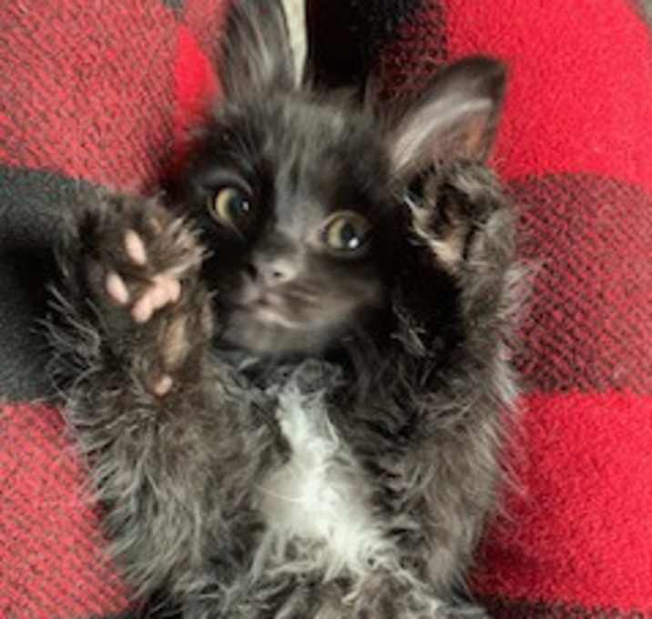 Photo of Pee Wee