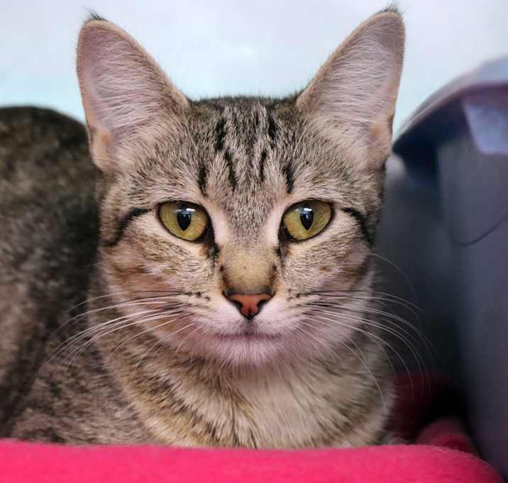 Photo of Mave