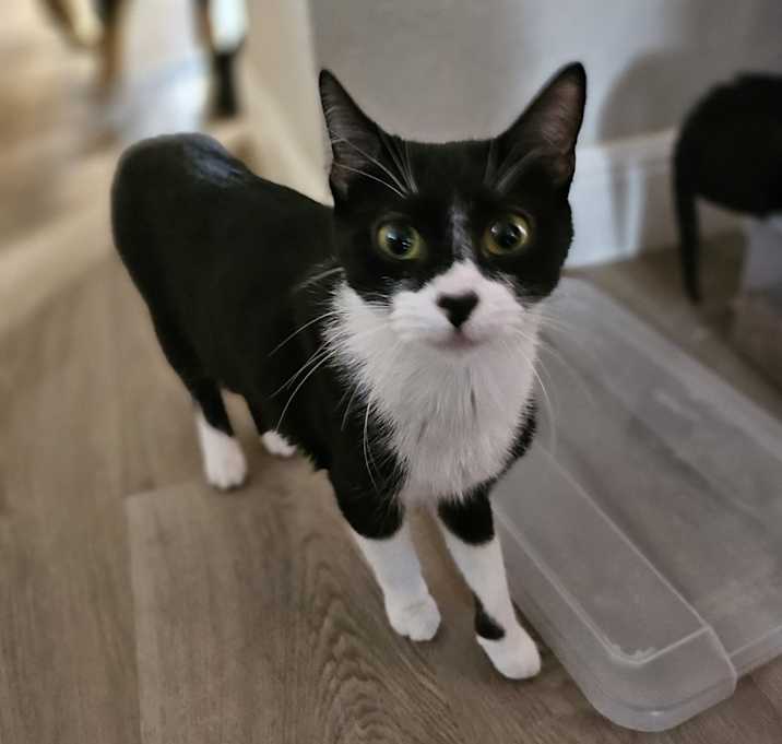 Photo of Lilly