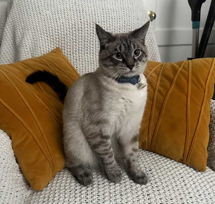 Photo of Toby