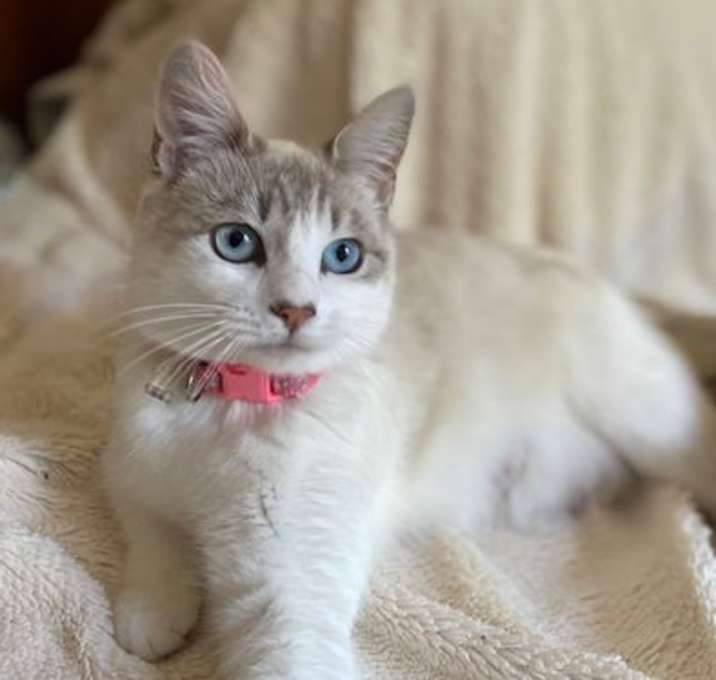 Photo of Duchess