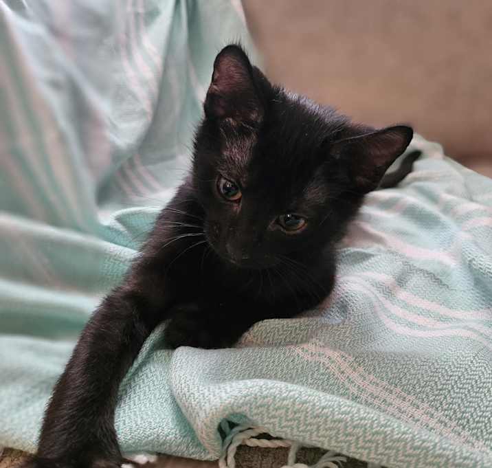 Photo of Baby Boy