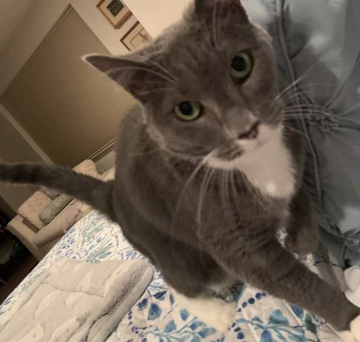Photo of Ruby