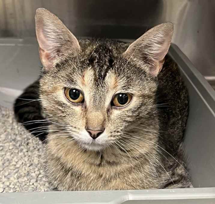 Photo of Tabitha