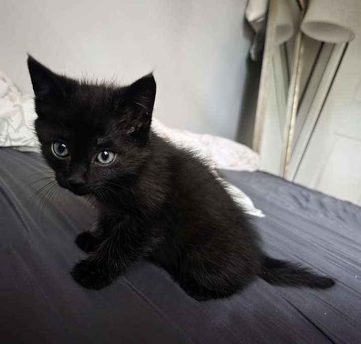 Photo of Felix