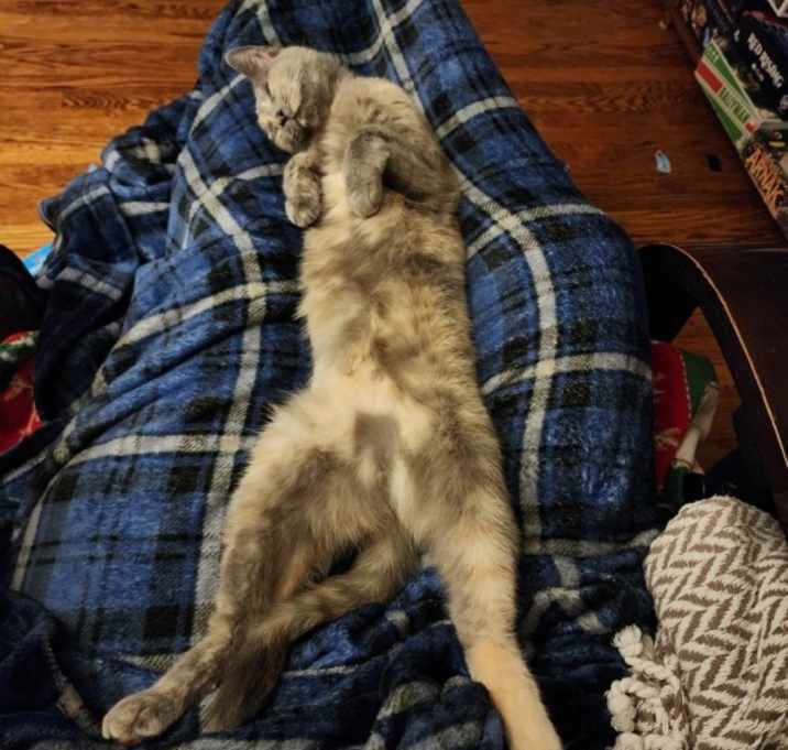 Photo of Hazel