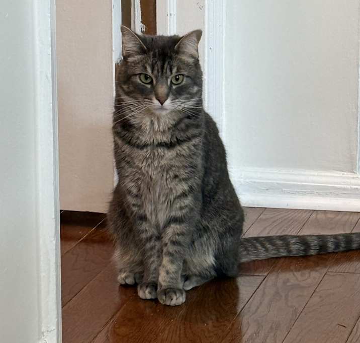 Photo of Maisy