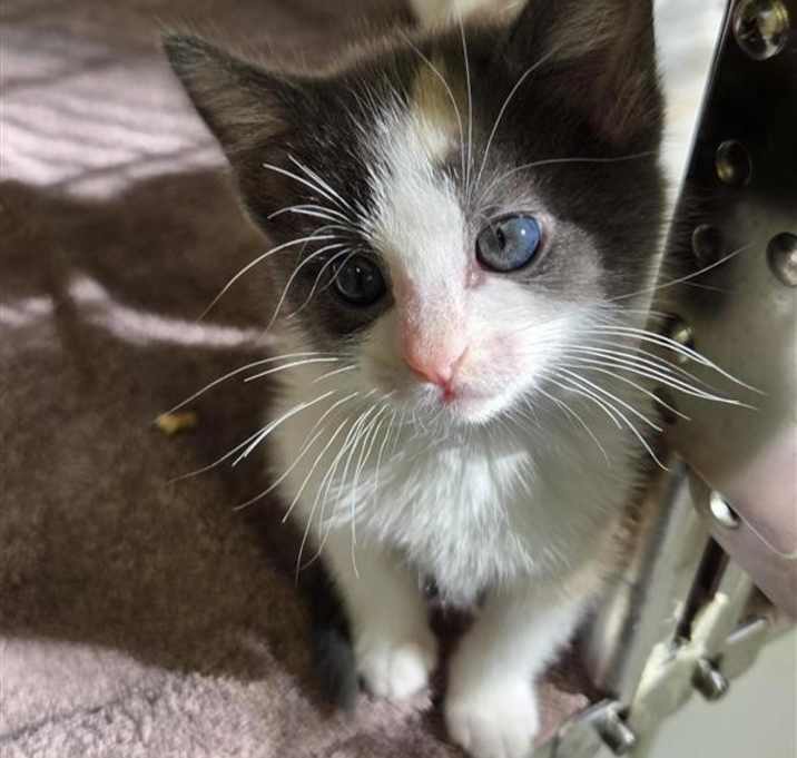 Photo of Kiki