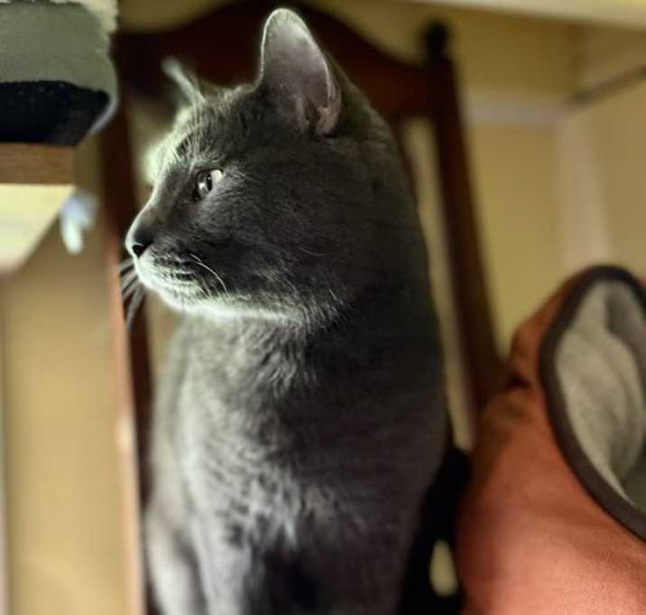 Photo of Boi