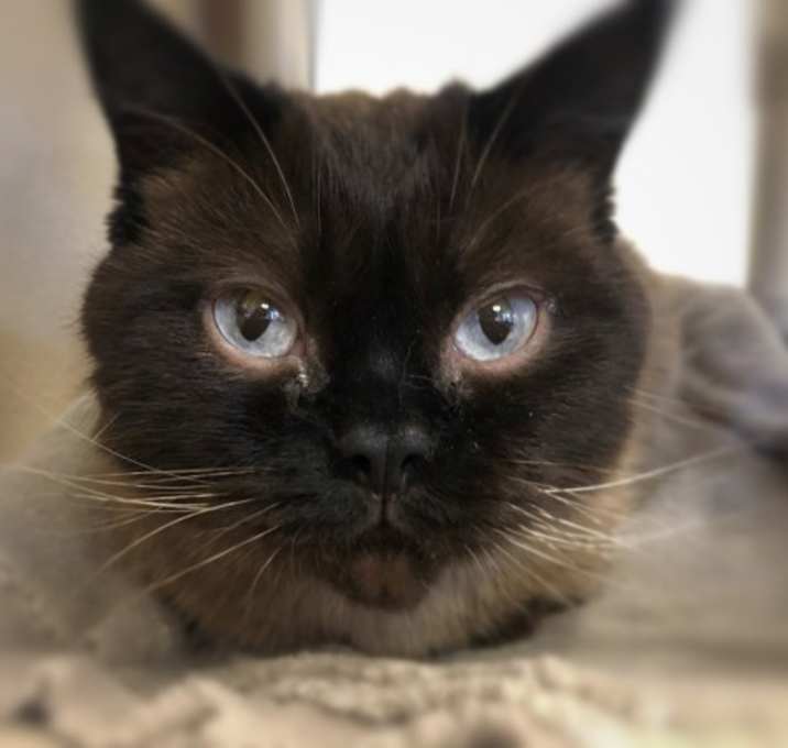 Photo of Coco