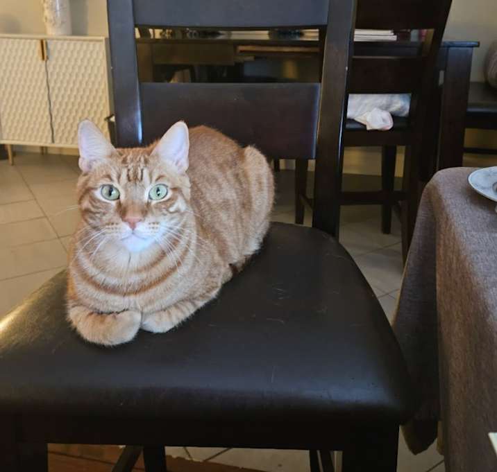 Photo of Leo