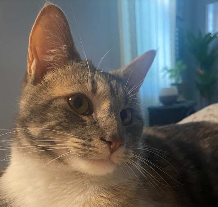 Photo of Maeve