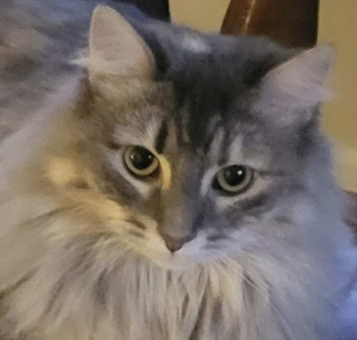 Photo of Binx
