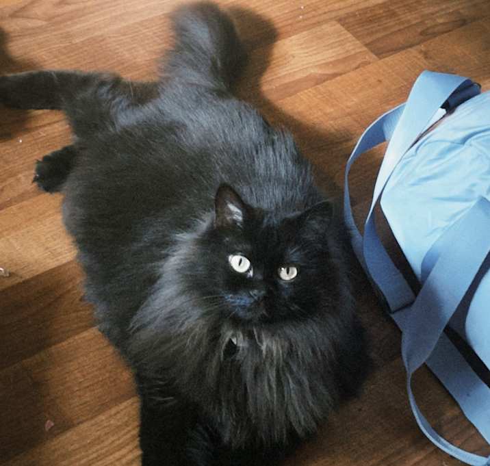 Photo of Penelope