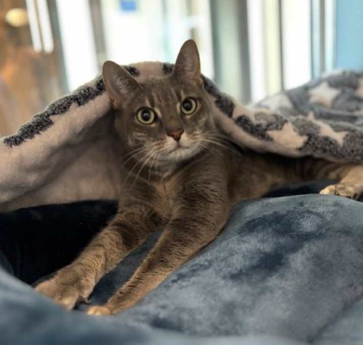 Photo of Tammy