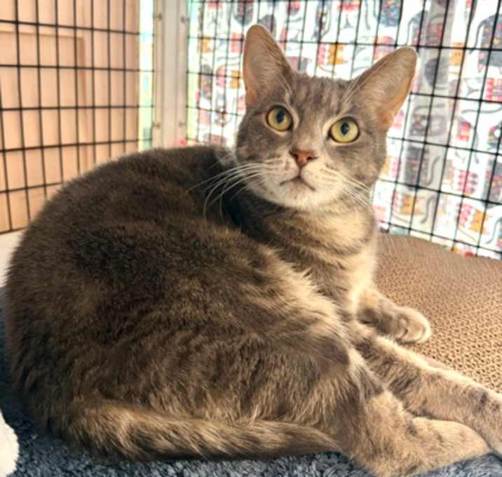 Photo of Olivia
