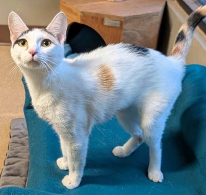 Photo of Maylee