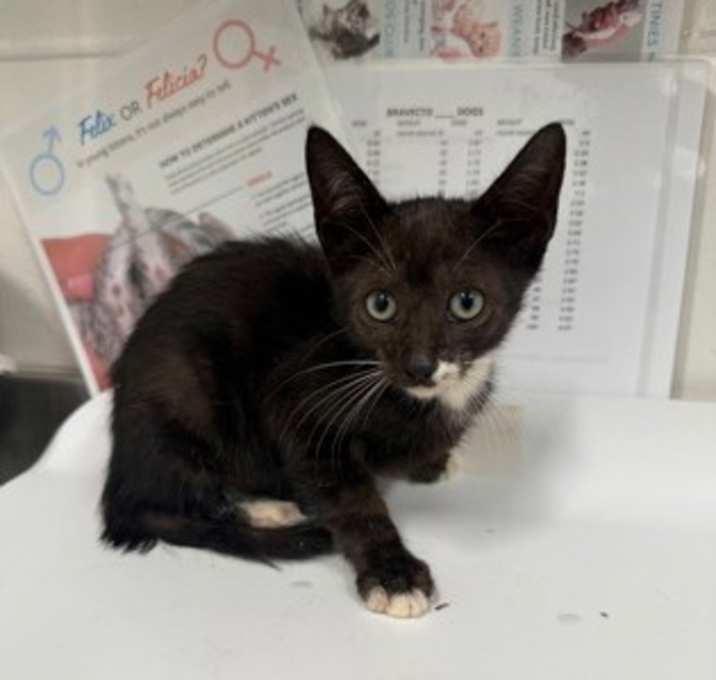Photo of Frodo