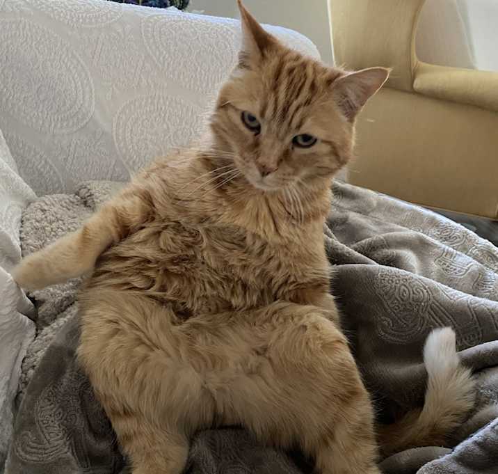 Photo of Sam