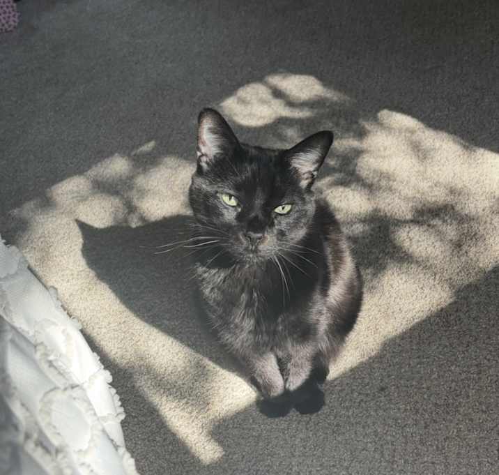 Photo of Jackie