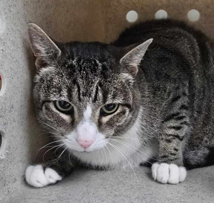 Photo of JAX