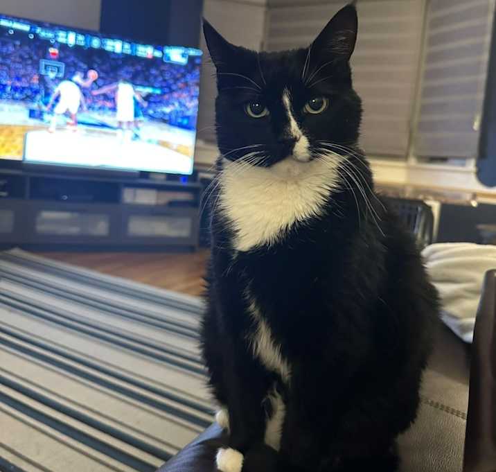 Photo of Smokey