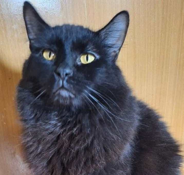 Photo of SNICKERS