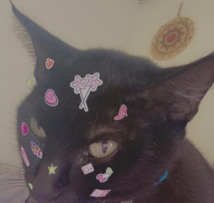 Photo of Alice