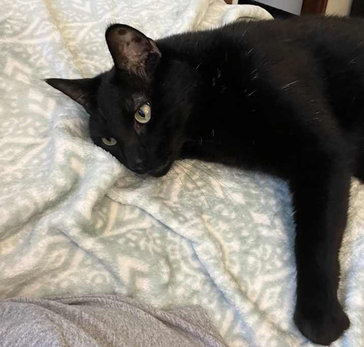 Photo of Kramer