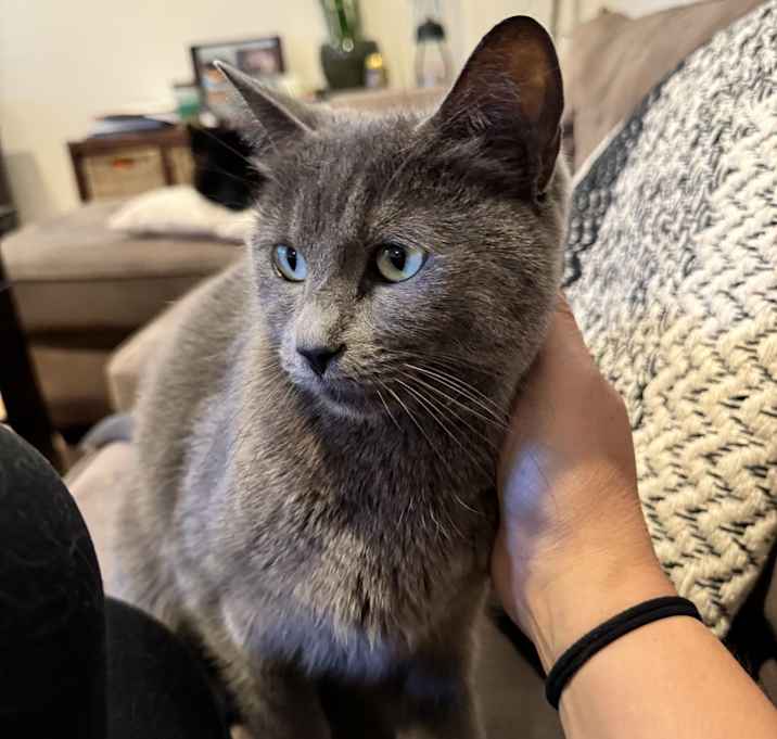 Photo of Graycee