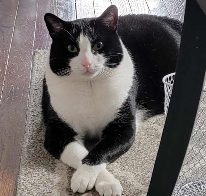 Photo of Max