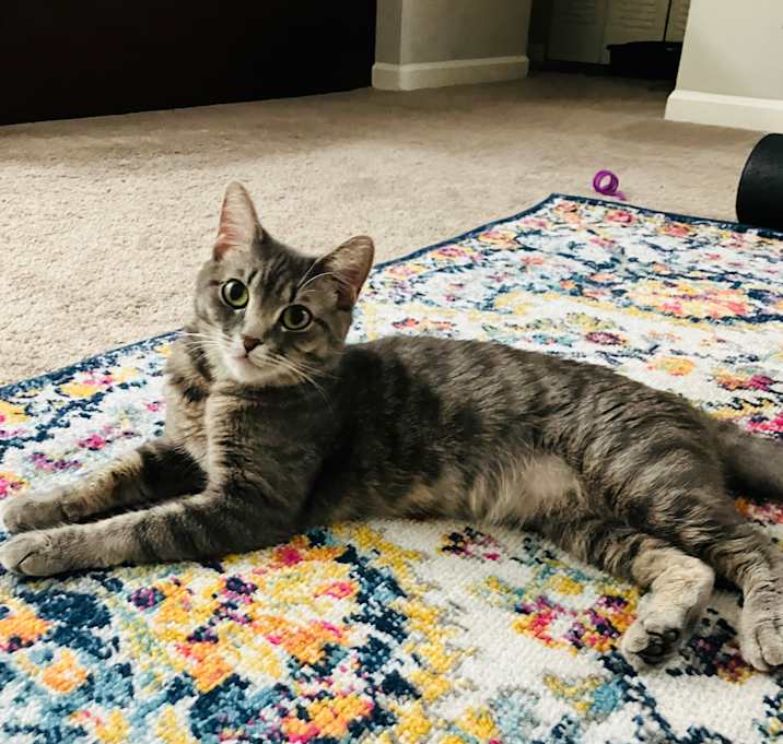 Photo of Nellie
