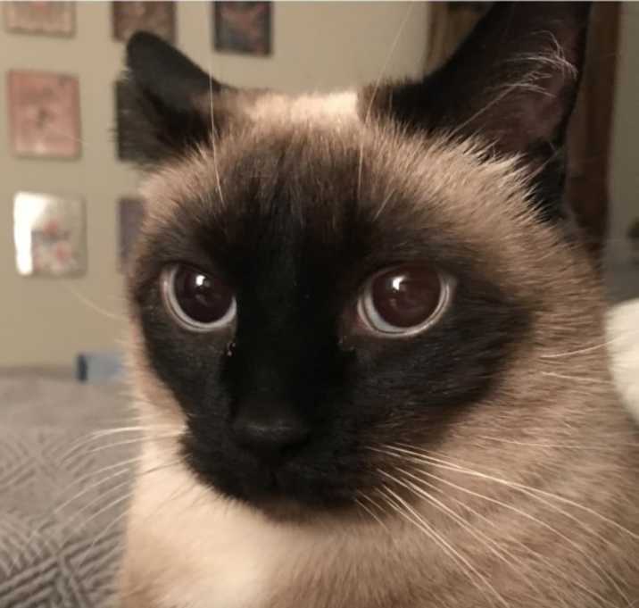 Photo of Esther