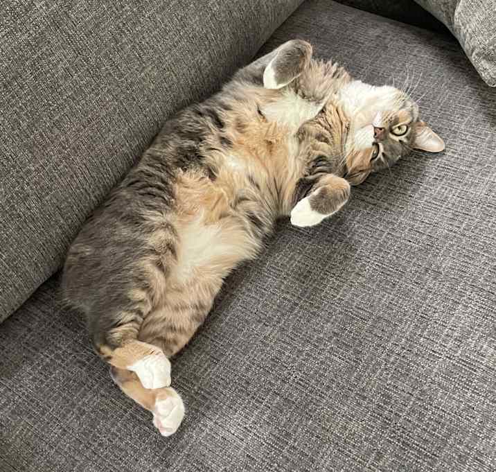 Photo of Talu