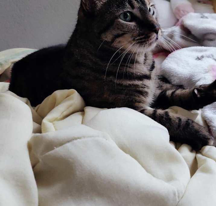 Photo of Bonnie