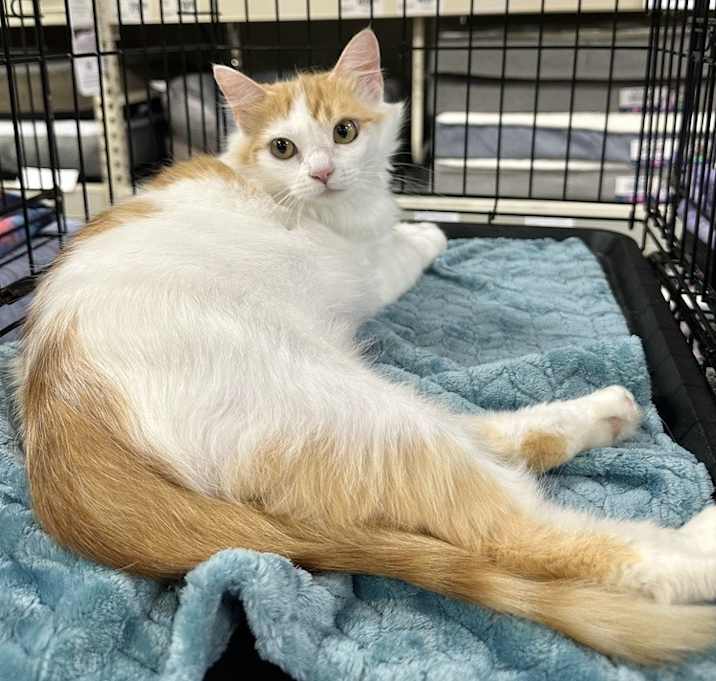 Photo of J Kitty : Jessalyn
