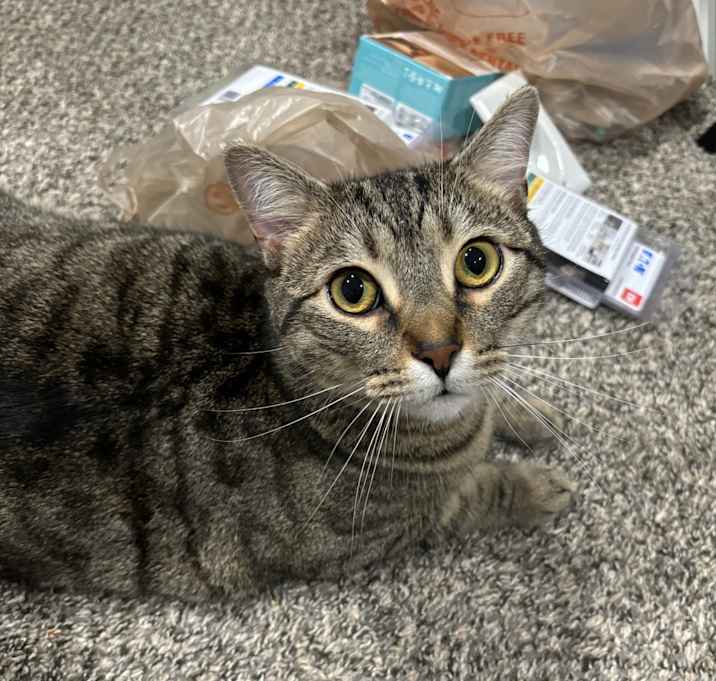 Photo of Oliver