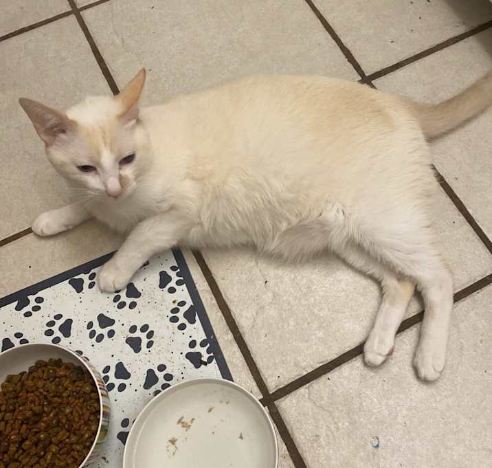 Photo of Cloud