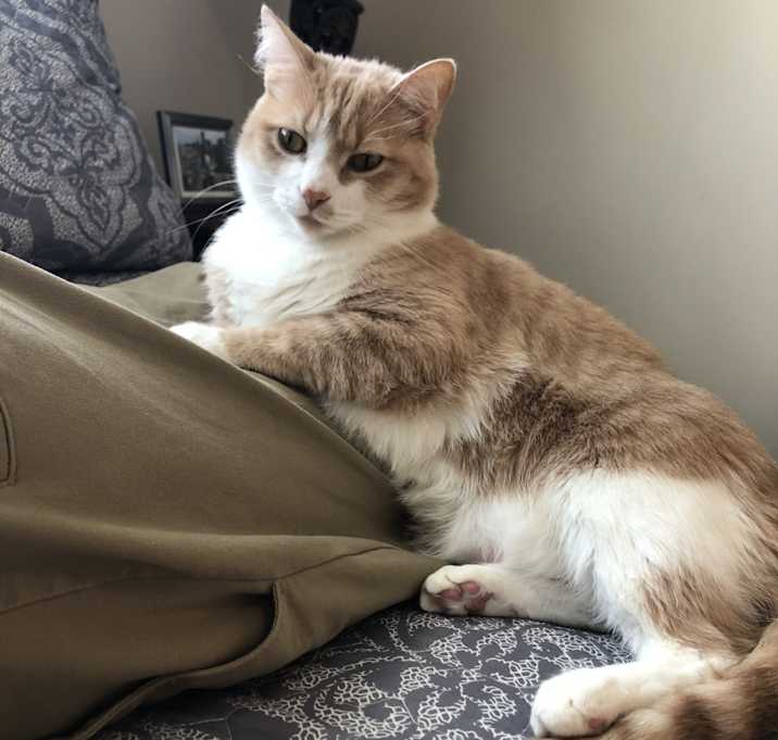 Photo of Burt