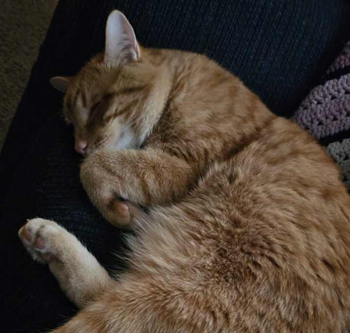 Photo of Olaf