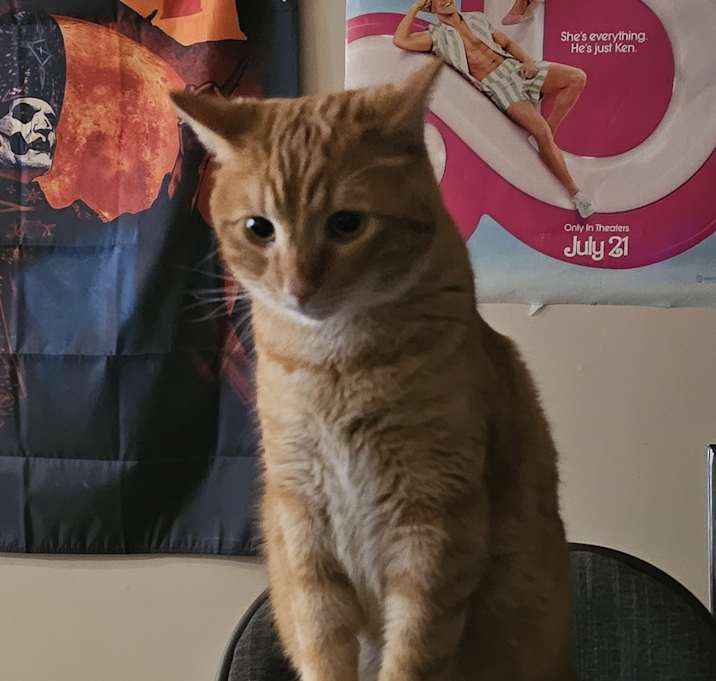 Photo of Olaf