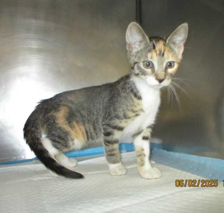 Photo of MARGIE