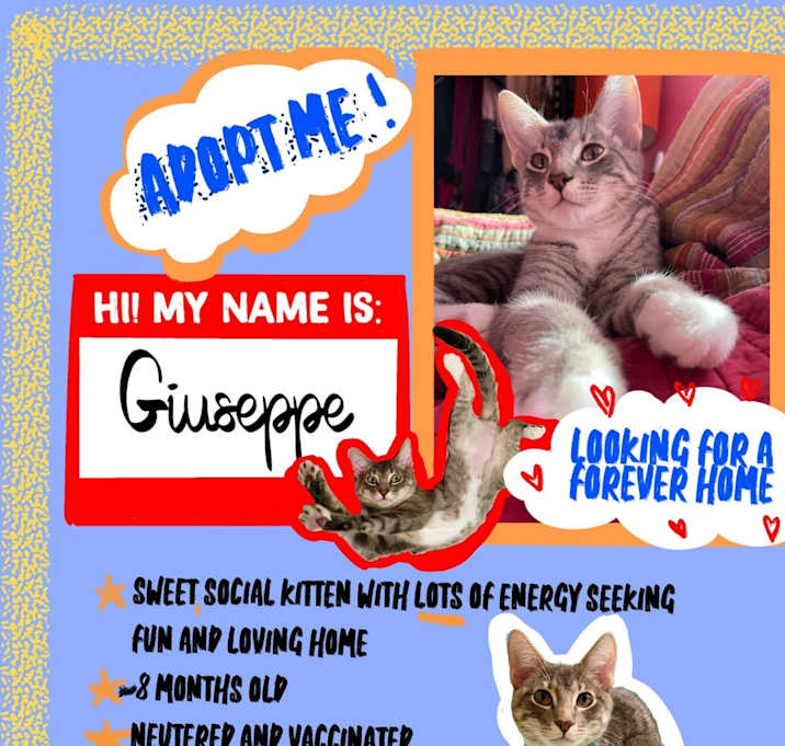 Photo of Guiseppe