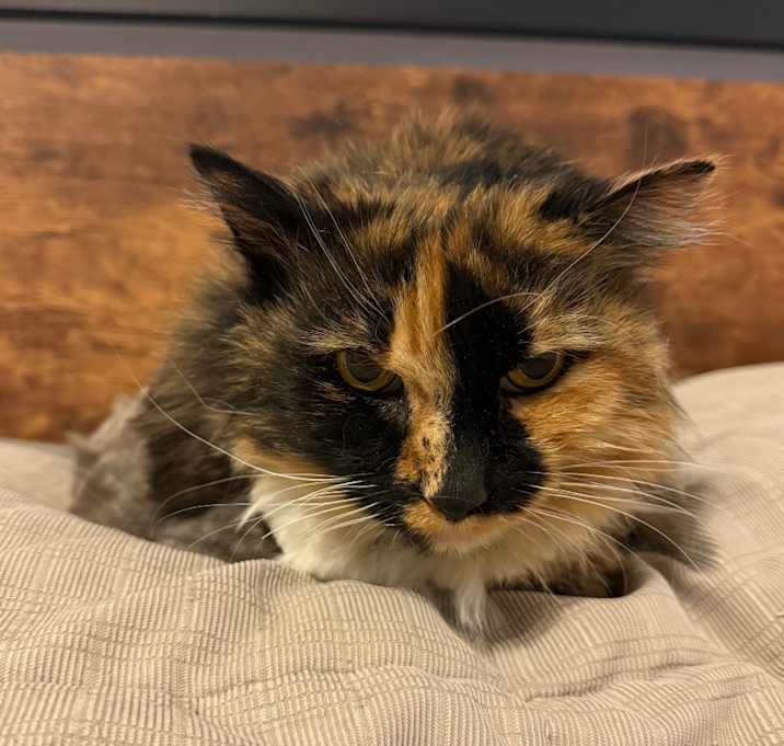 Photo of Baby