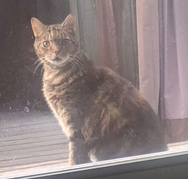 Photo of Bellatrix