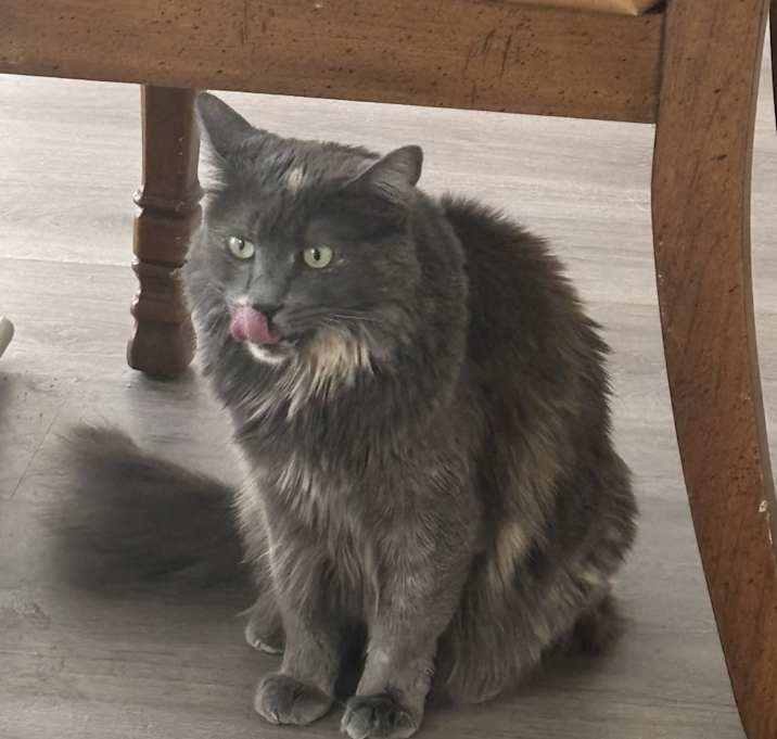 Photo of Lizzy